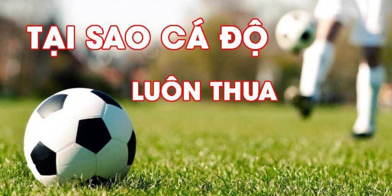 Kèo Tỷ Số Chính Xác