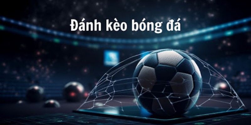 Sảnh IM Thể Thao